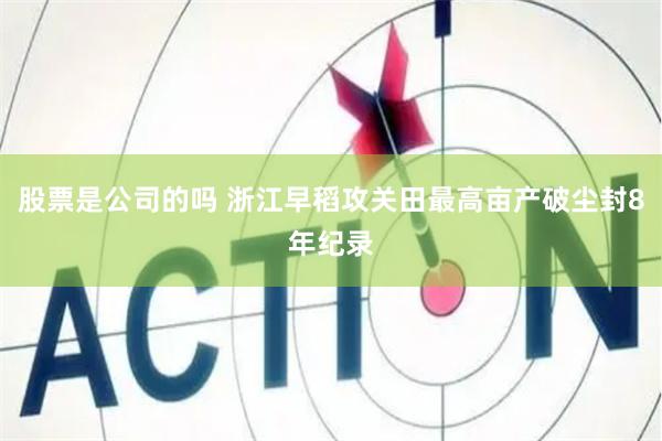 股票是公司的吗 浙江早稻攻关田最高亩产破尘封8年纪录