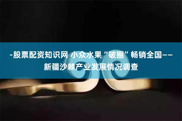 -股票配资知识网 小众水果“破圈”畅销全国——新疆沙棘产业发展情况调查