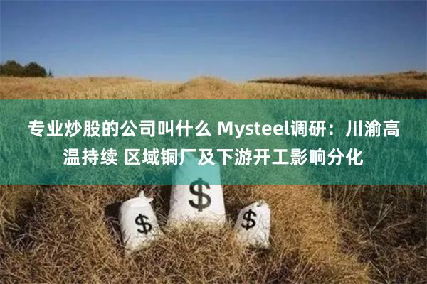 专业炒股的公司叫什么 Mysteel调研：川渝高温持续 区域铜厂及下游开工影响分化