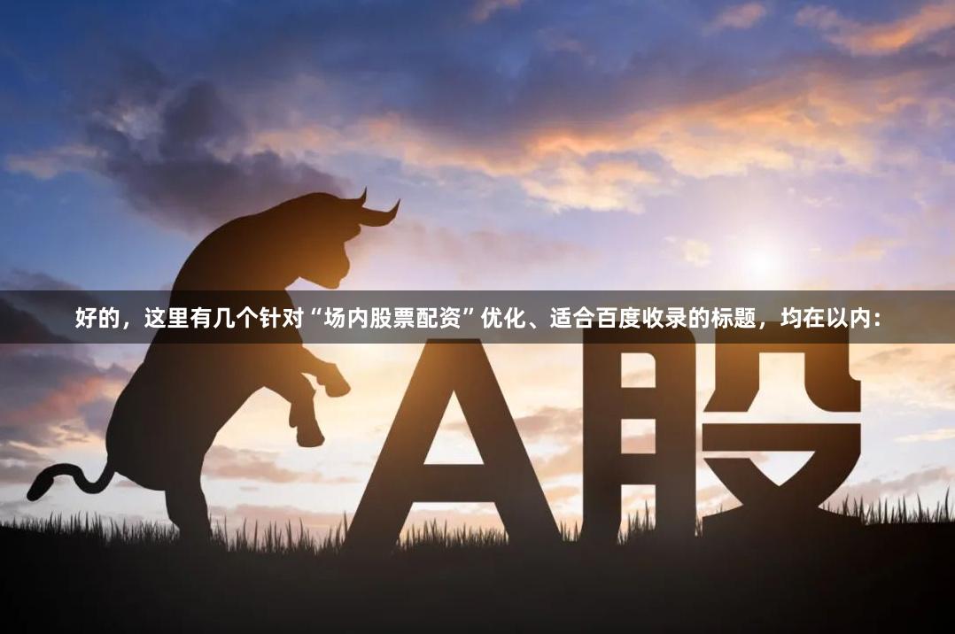 好的，这里有几个针对“场内股票配资”优化、适合百度收录的标题，均在以内：