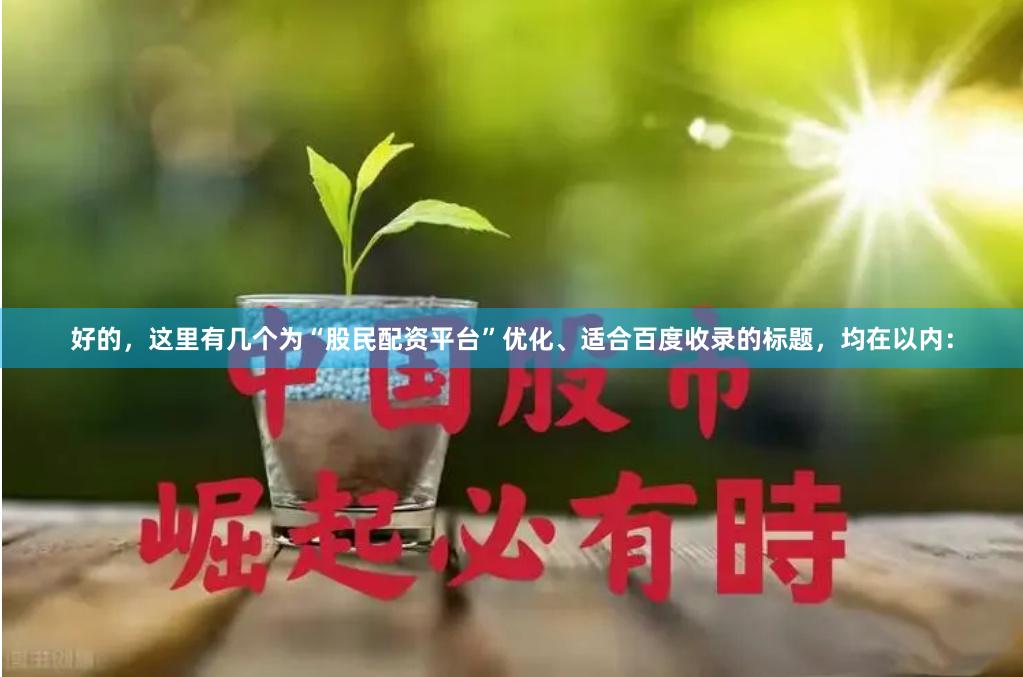 好的,这里有几个为“股民配资平台”优化、适合百度收录的标题,均在以内: